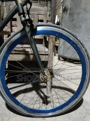Best Cycle