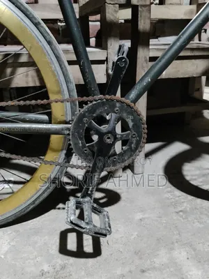 Best Cycle