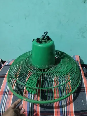 একটি ভিশন ফ্যান