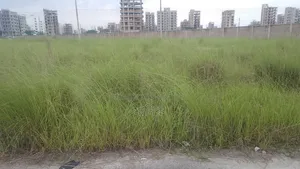 ৩ কাঠার কর্নার প্লট বিক্রয় হবে