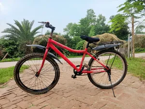 Duranta 24" Bicycle | Fully Serviced | Ready To Ride