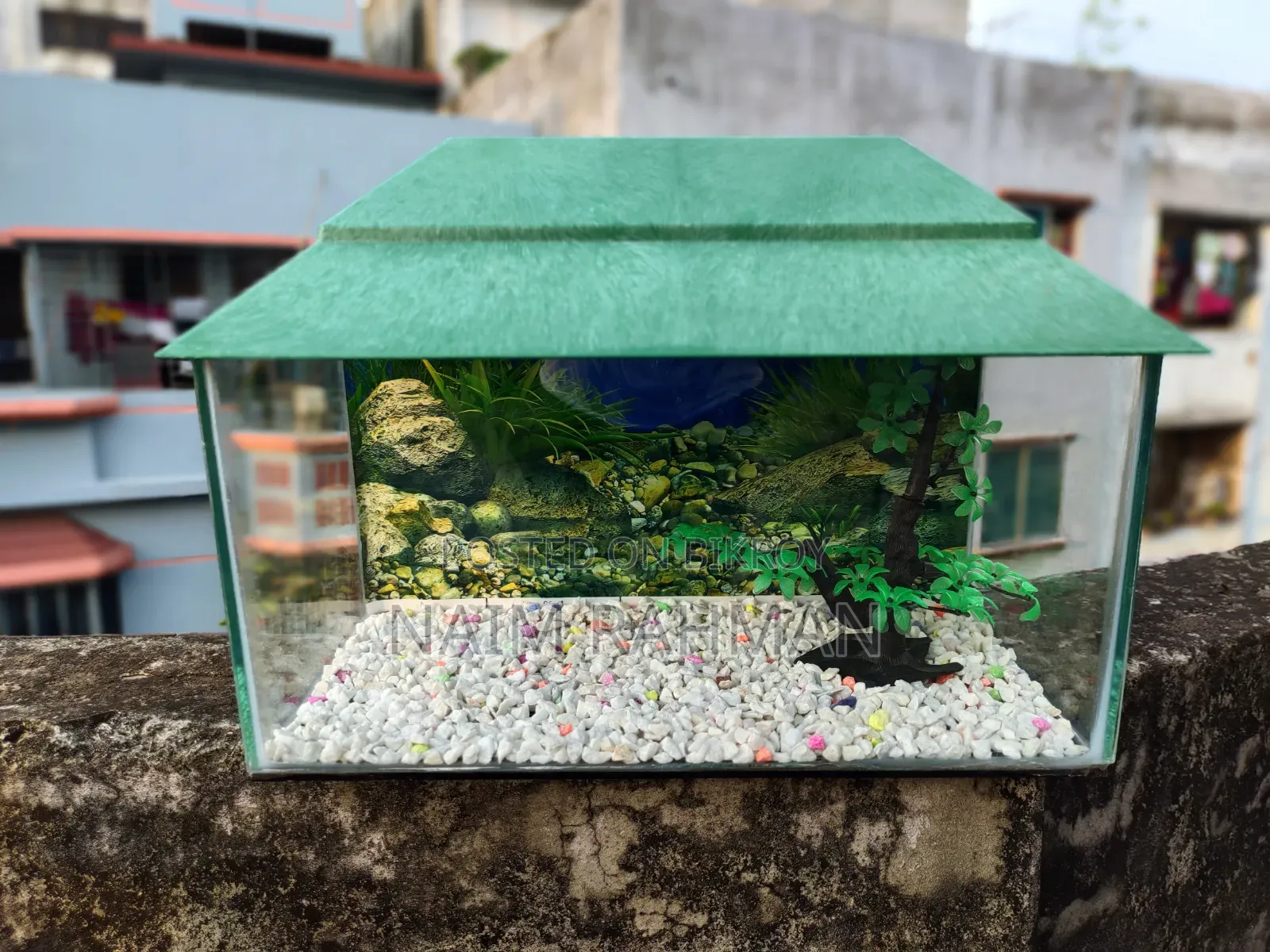 Aquarium for Sale 9/18 Inch