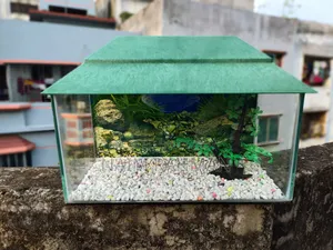 Aquarium for Sale 9/18 Inch