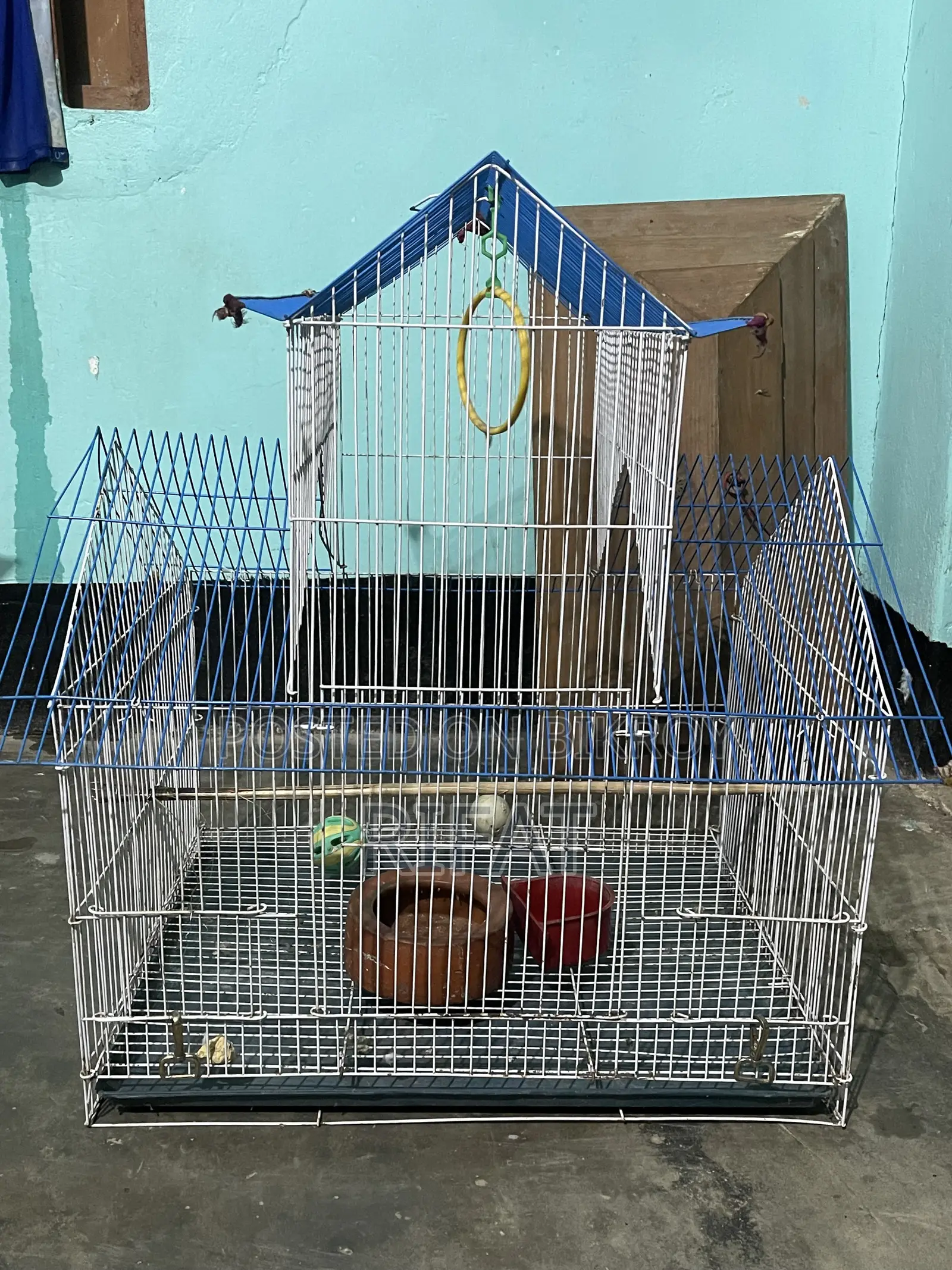 Bird Cages