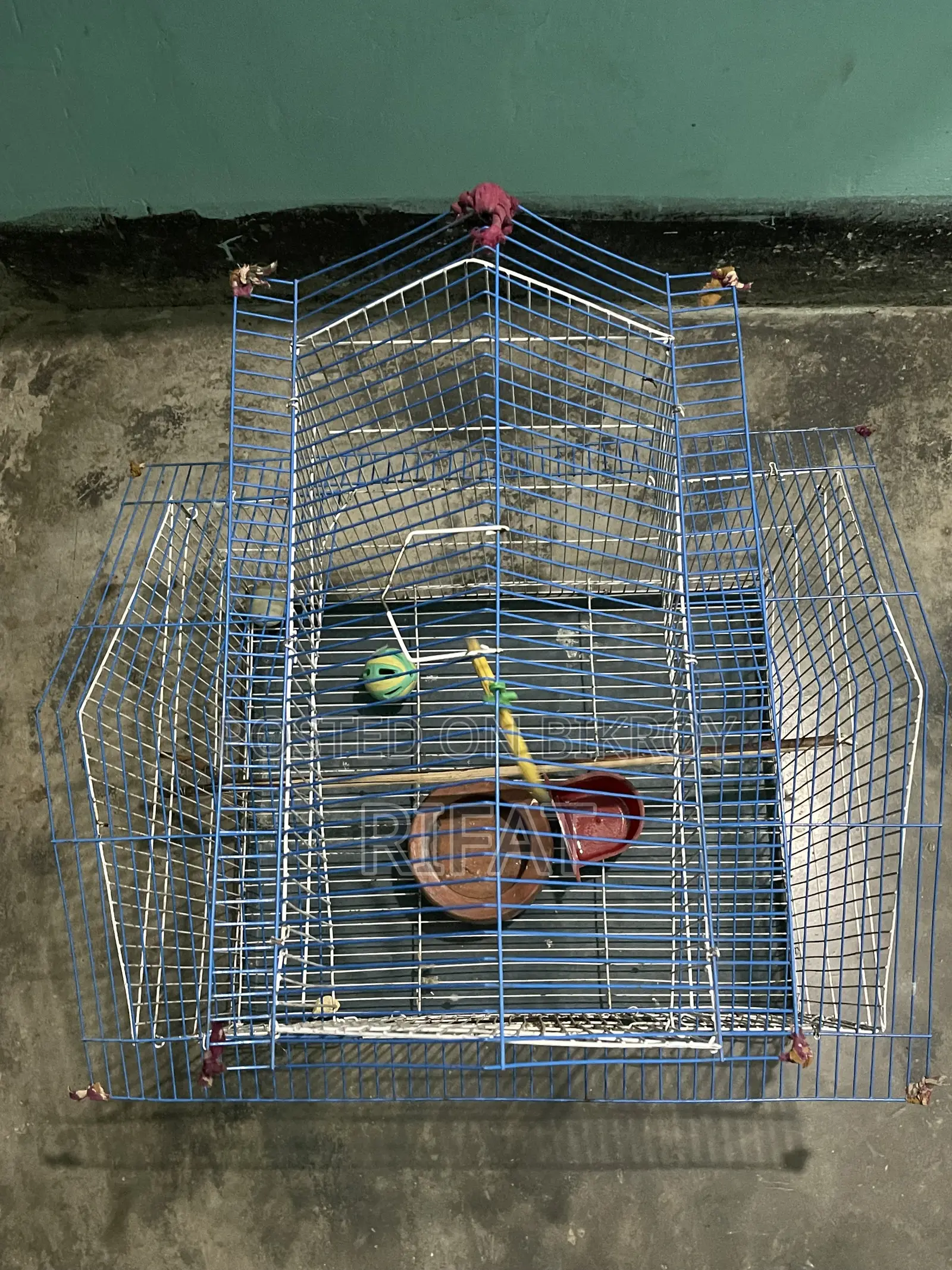 Bird Cages