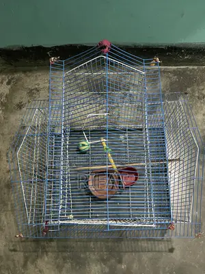 Bird Cages
