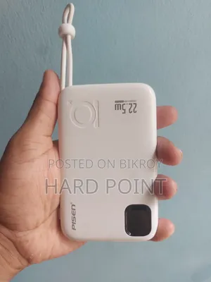 Pisen 10000mAh Power Bank