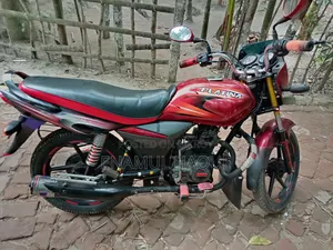 Bajaj Platina 110 2012 Red