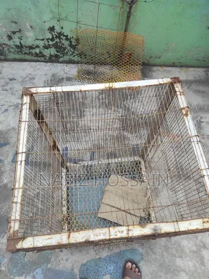 Akta Khacha Sell Hove