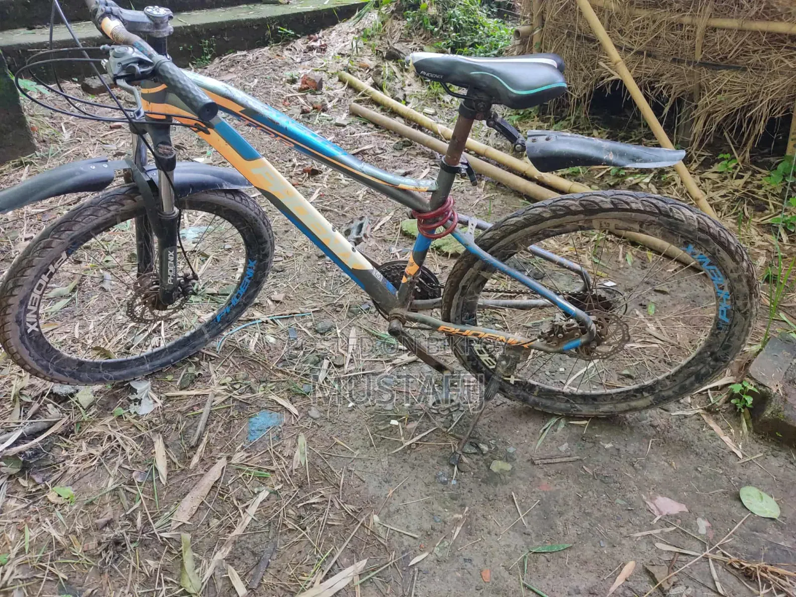 Cycle for Sale