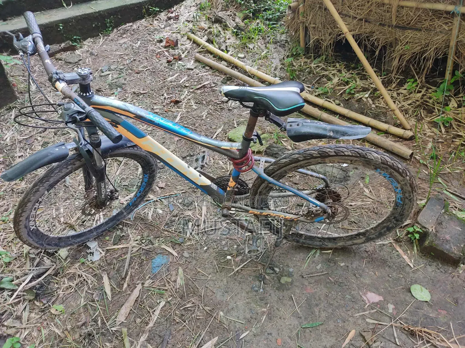 Cycle for Sale