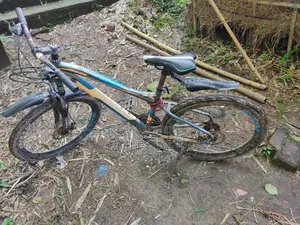Cycle for Sale