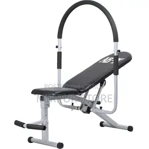 Ab King Pro Abdominal Workout Machine