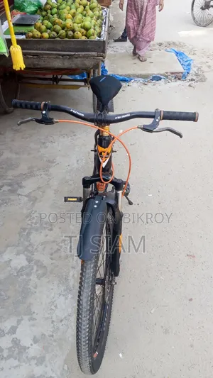 Fresh Condition