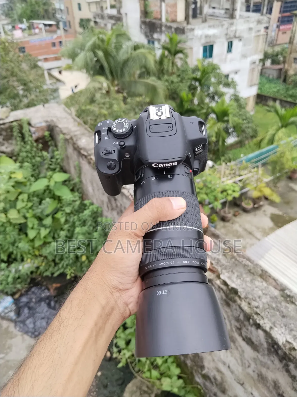 700d+75-300mm Zoom, Full. Fresh
