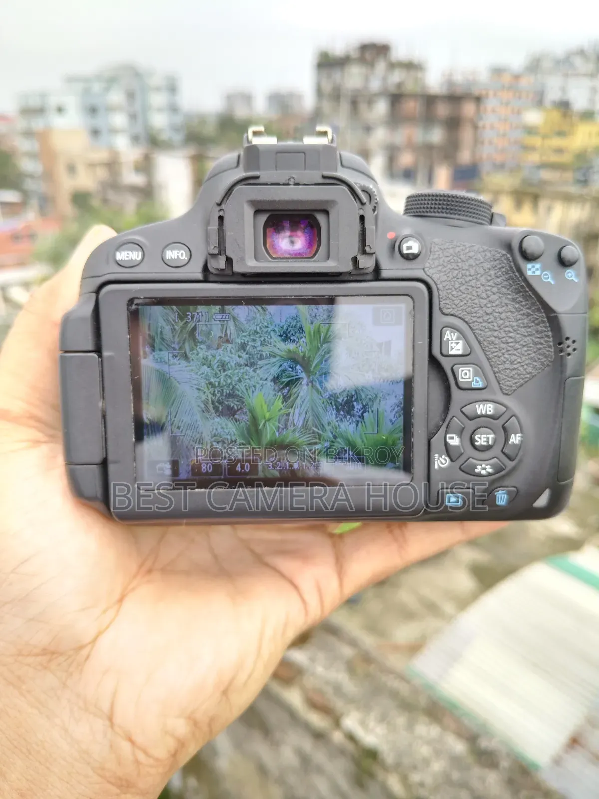 700d+75-300mm Zoom, Full. Fresh