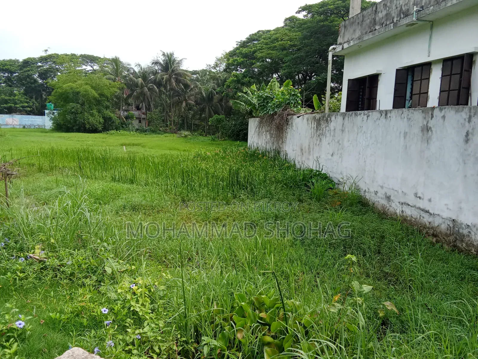 Land for sale