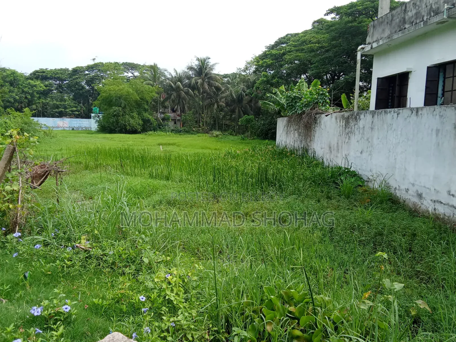 Land for sale
