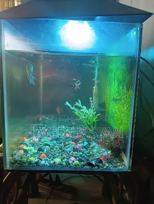 Aquarium with fish.