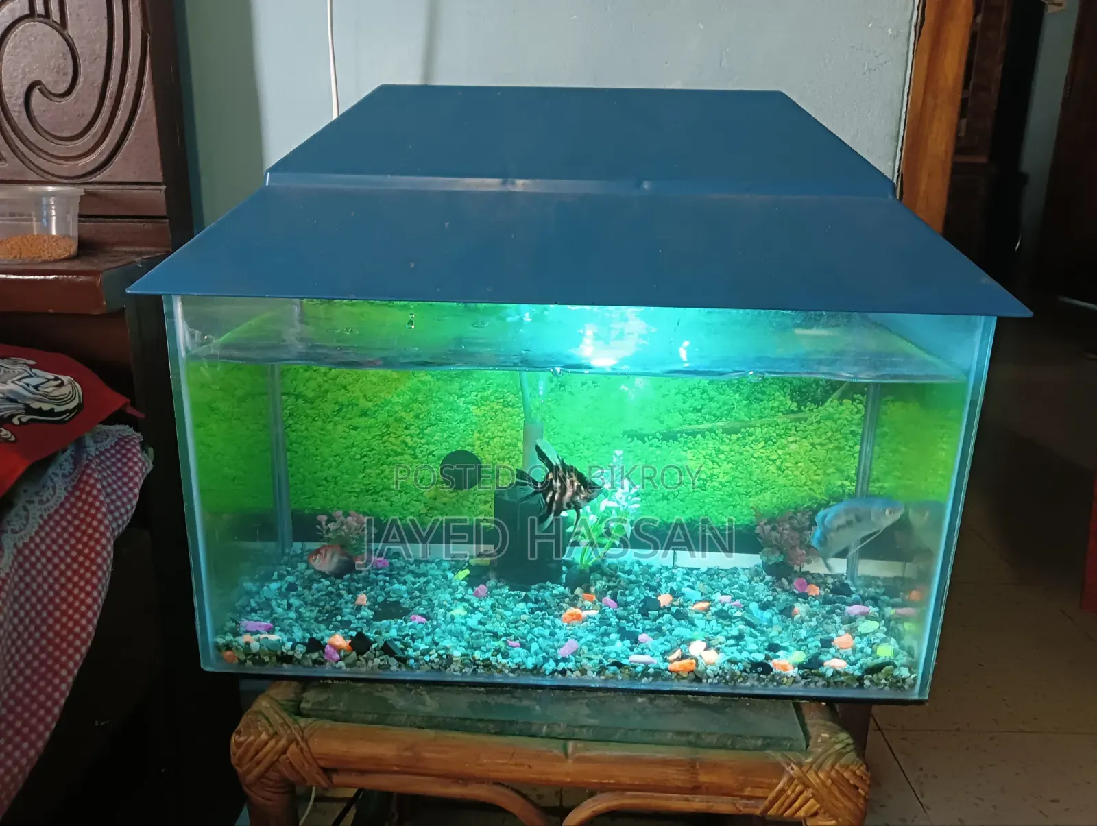 Aquarium with fish.
