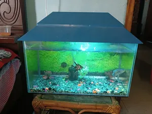 Aquarium with fish.