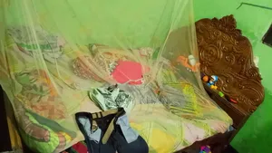 ৫ ফুট বাই ৭ ফিট আকাশমনি রেক