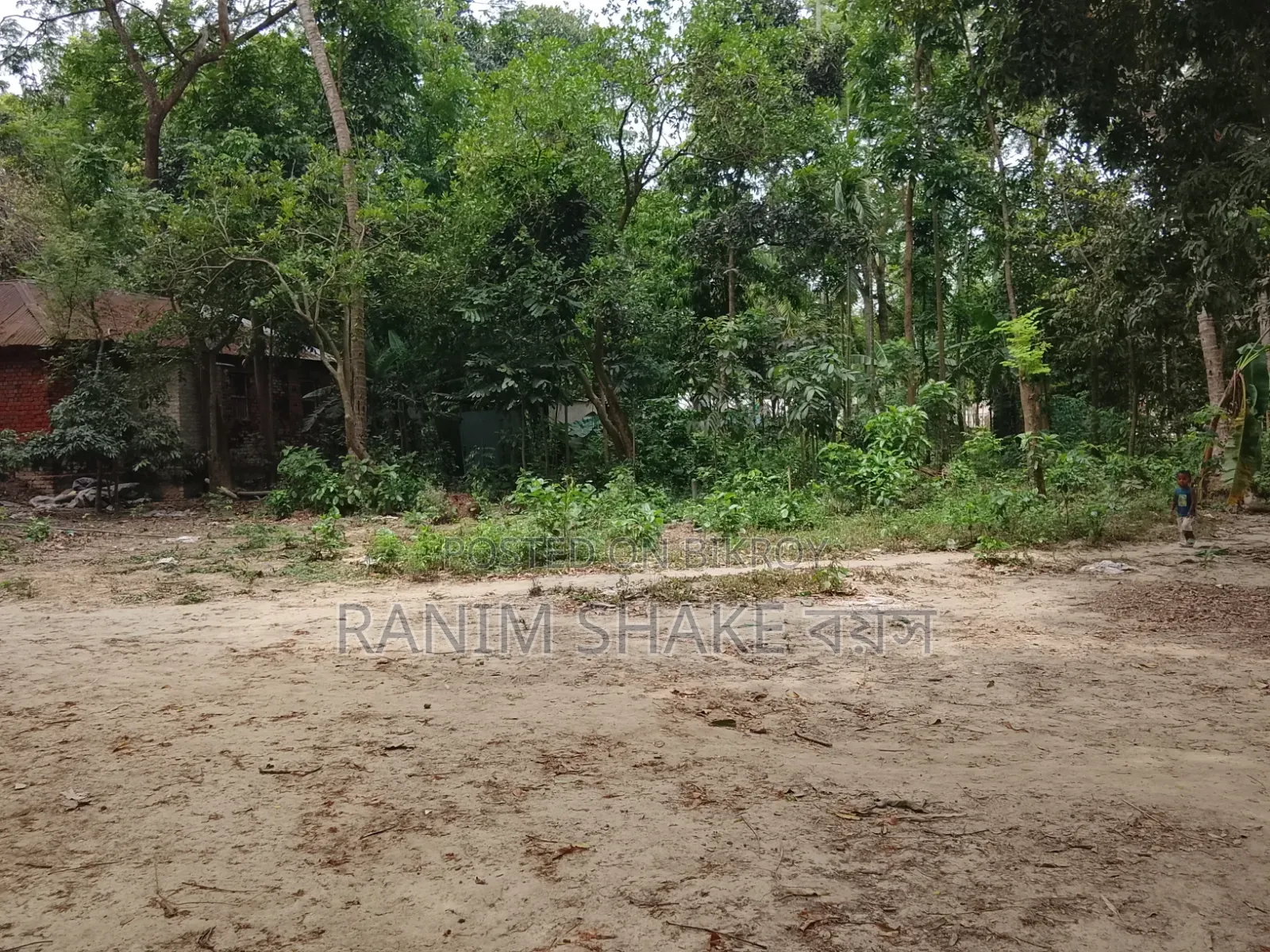 Land for Sale