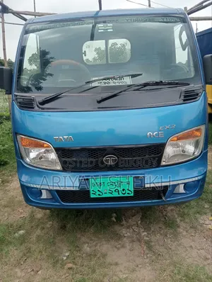 কোনো কাজ নেই