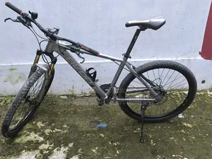 Avon Cycle