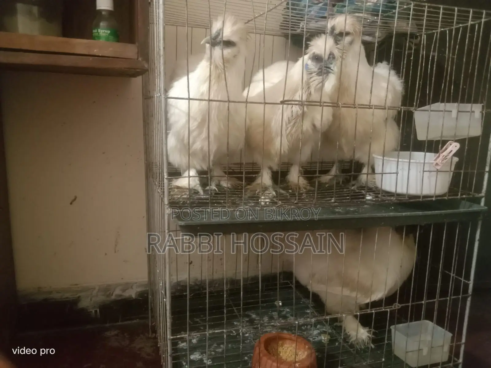 Silki Chicken