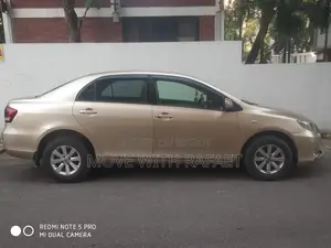 Toyota Axio 2009 Gold