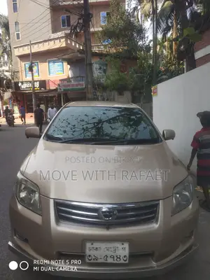 Toyota Axio 2009 Gold