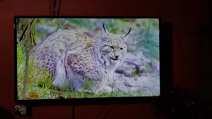Jvco 50" You Smart Led Tv