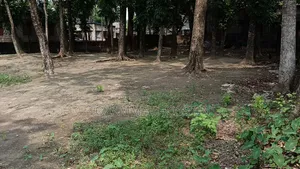 মেহেরচণ্ডীতে ৭.২৪ কাঠার আকর্ষণীয় আবাসিক প্লট বিক্রয়