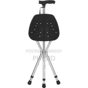 Walking Stick With Chair.