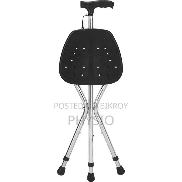 Walking Stick With Chair.