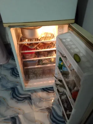 Lg Butterfly Refrigerator