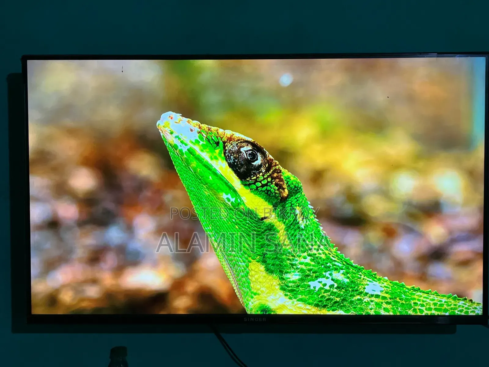 Smart TV