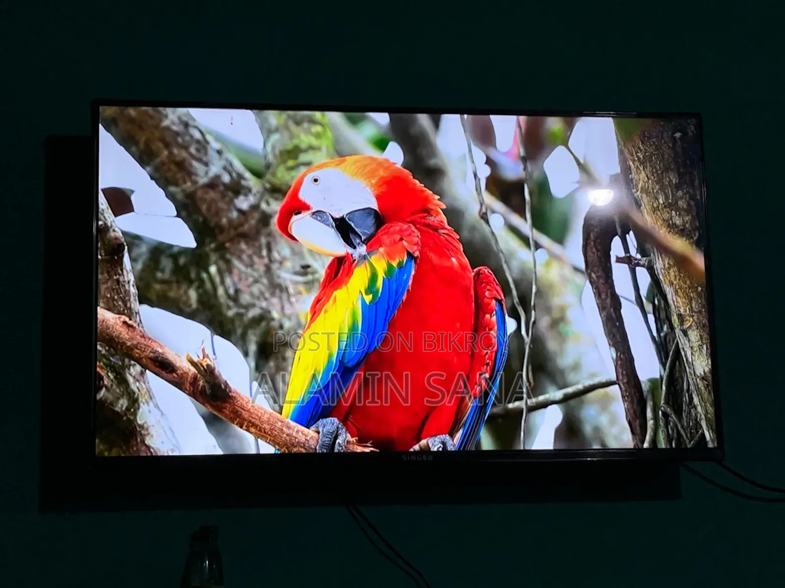 Smart TV