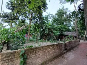 4 Sotansho for Sell 23 No Ward Barishal