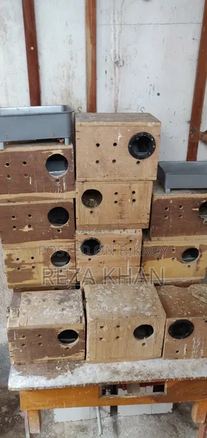 ব্রিডিং বক্স