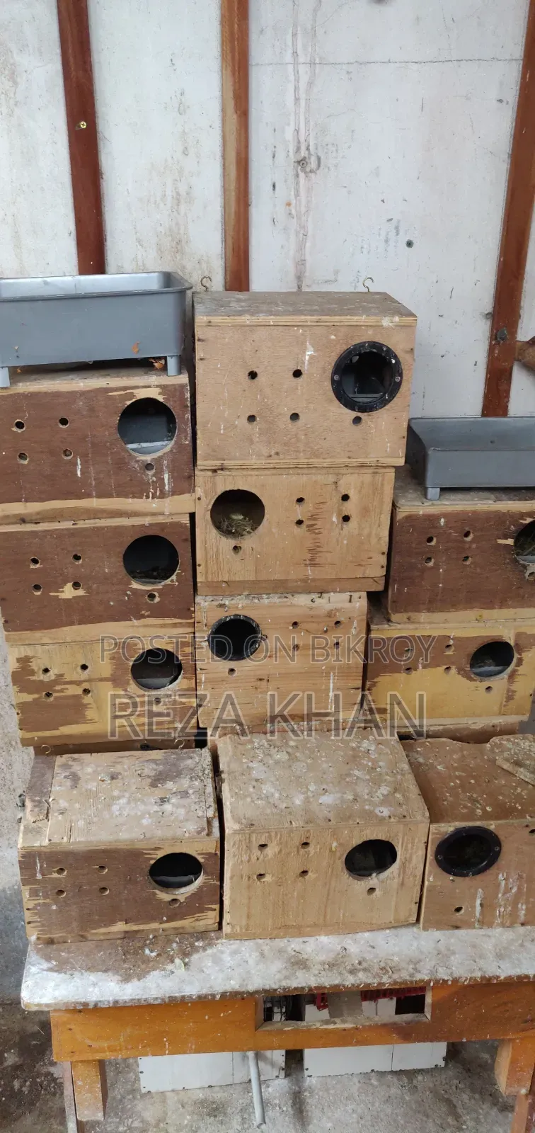 ব্রিডিং বক্স