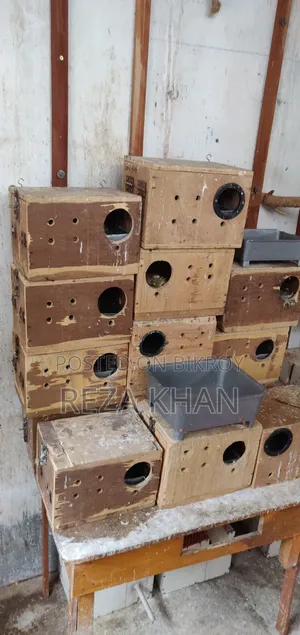 ব্রিডিং বক্স