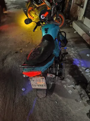 Runner Kite + 110 2018 Green