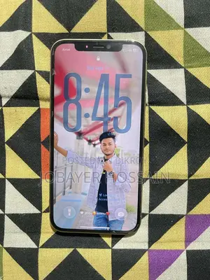 Apple iPhone 12 Pro 256 GB রোজ গোল্ড
