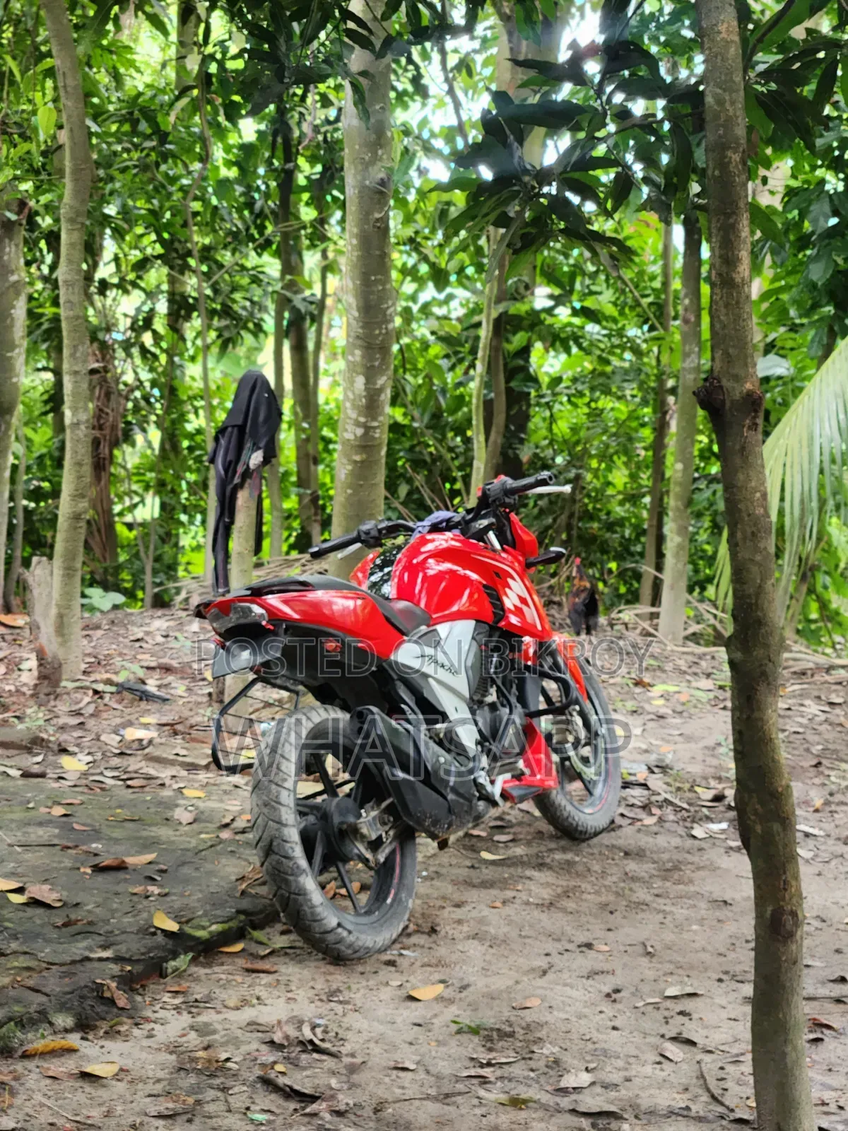 TVS Apache 160 4V 2020 Red