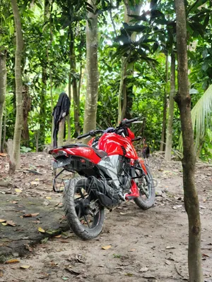 TVS Apache 160 4V 2020 Red