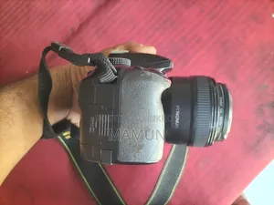 Nikon D3300 With 3 Lenses