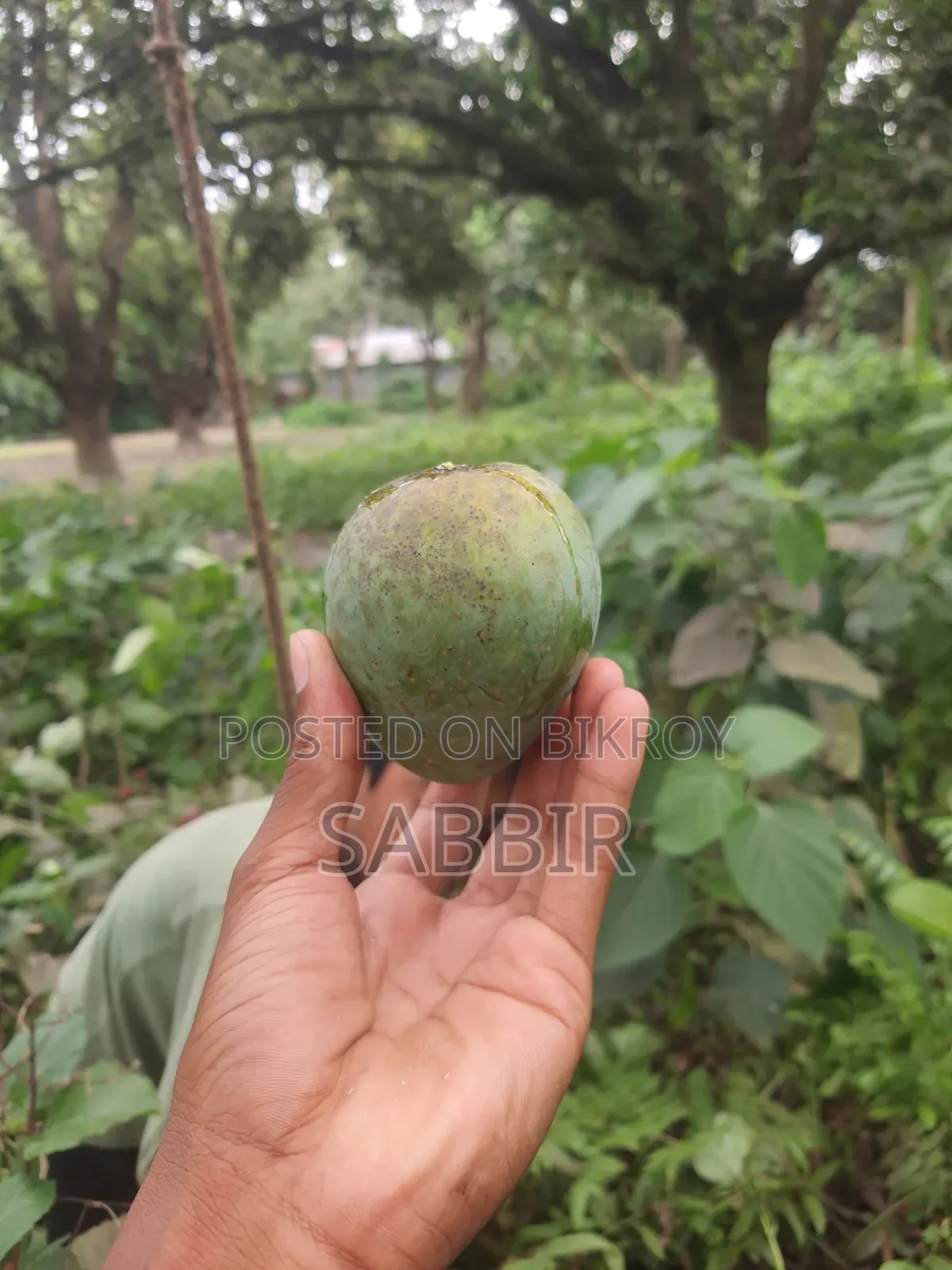 Grameen Foods
