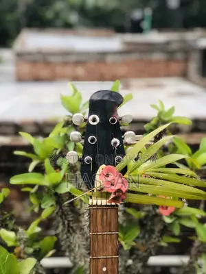 Kabat 49d Guitar